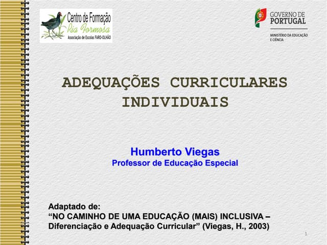 Adequações curriculares-individuali...