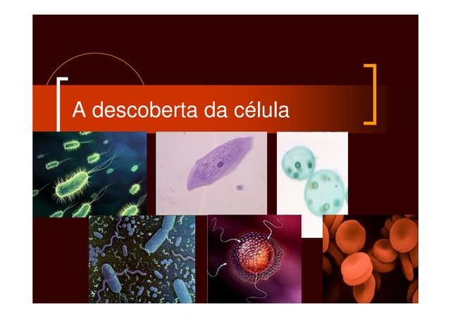 A descoberta da célula 1ºa