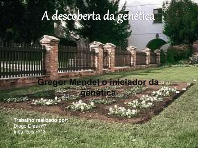 A descoberta  do dna   gregor mendel