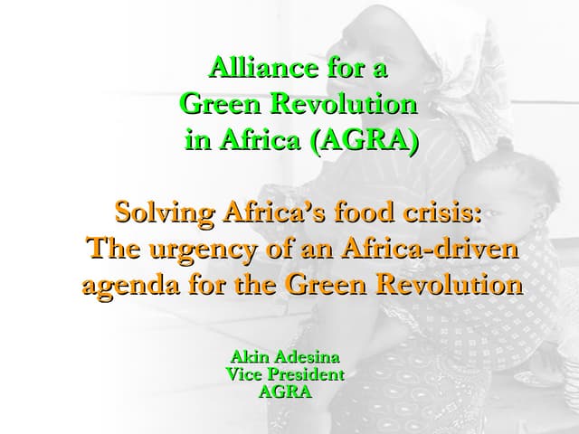 Solving Africa’s food crisis: The urgency of an Africa-driven agenda for the Green Revolution