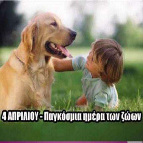 ΑΔΕΣΠΟΤΑ ΖΩΑ