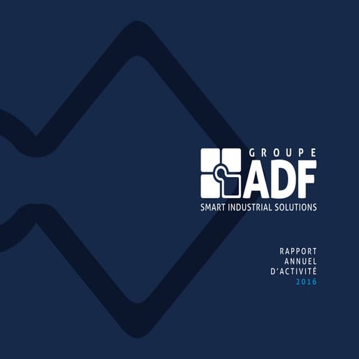 Rapport Annuel du Groupe ADF - 2016 | PDF