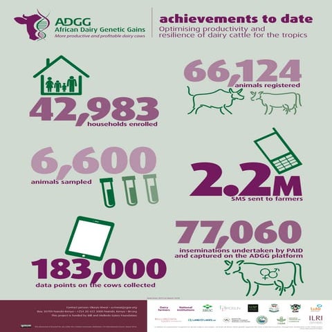 African Dairy Genetic Gains (ADGG) achievements to date:  Optimising producti...