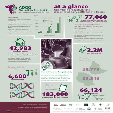 African Dairy Genetic Gains Project Overview | PPTX