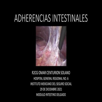 Adherencias intestinales