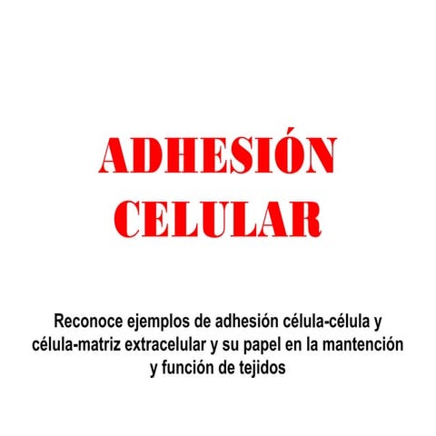 Adhesion celular 4 electivo