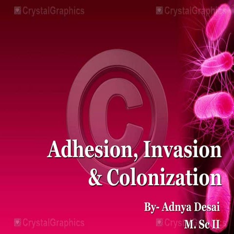Adhesion, invasion and colonization
