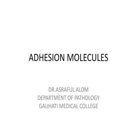 Adhesion molecules