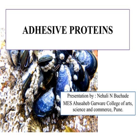 Adhesive proteins 
