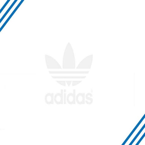 Adidas marketing maganement