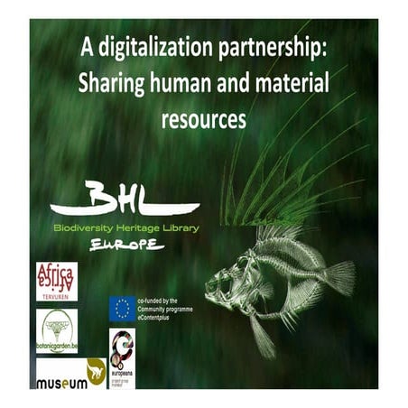 A Digitalization Partnership: Sharing human and material resources by Larissa...