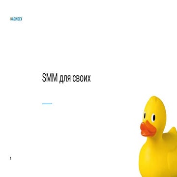 Adindex SMM для бизнеса