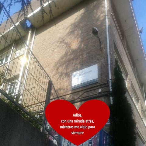 Adiós al magisterio