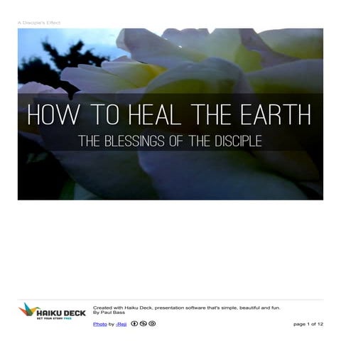 How To Heal The Earth - A disciple's effect