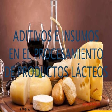 Aditivos en la industria lactea