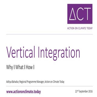 Vertical Integration: Why, What, How?