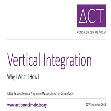Vertical Integration: Why, What, How?