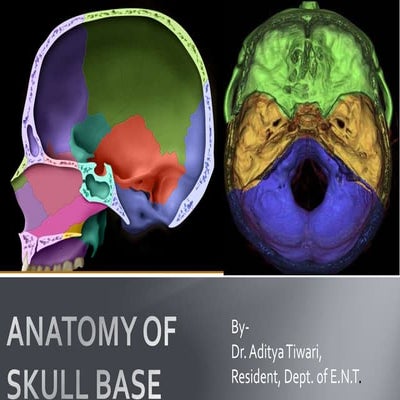 Skull base anatomy by Dr. Aditya Tiwari