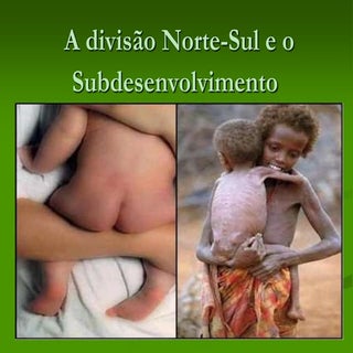 A divisão norte sul