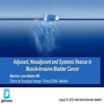 Neoadjuvant, adjuvant and systemic rescue for bladder cancer