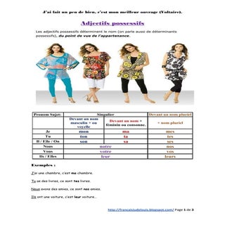 Adjectifs possessifs