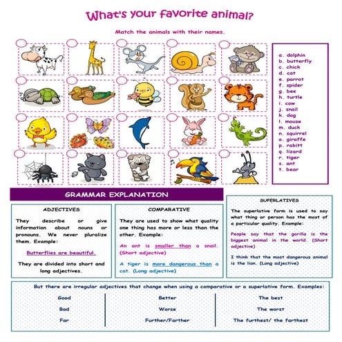 400 Adjectives List in English with Examples (A to Z) visual data 3
