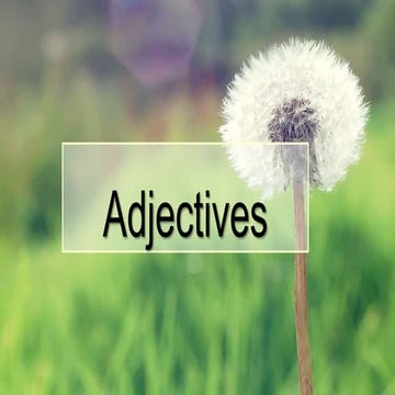 Adjectives 