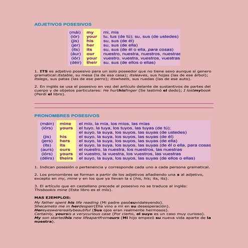 Adjetivos Posesivos