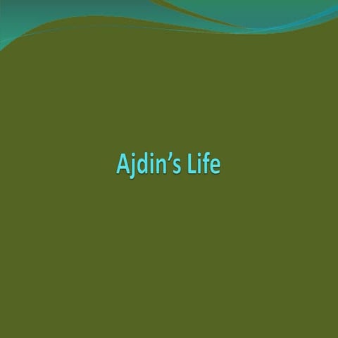 Adjin