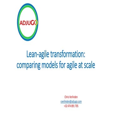 Lean-agile transformation: comparing the models of agility at scale