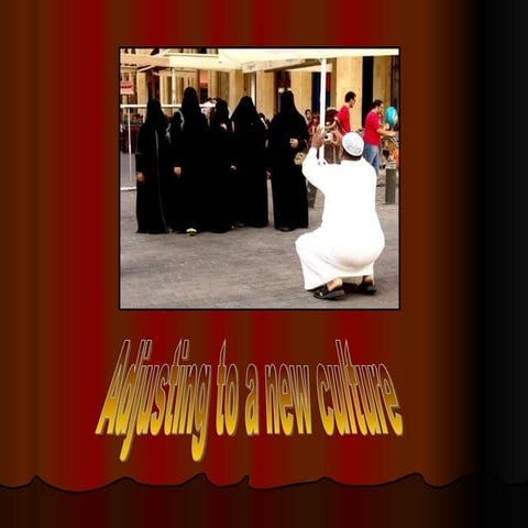 Adjusting To New Culture