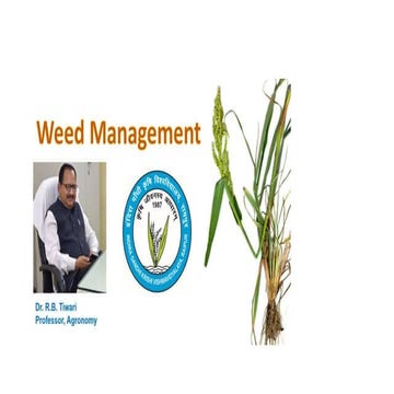 Adjuvent; formulations of herbicide