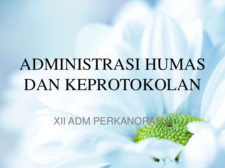 Jenis Ruang Lingkup Keprotokolan / Protokol adalah sebuah