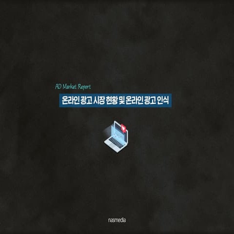 Ad market report_awareness of on-line advertising_nasmedia_1904