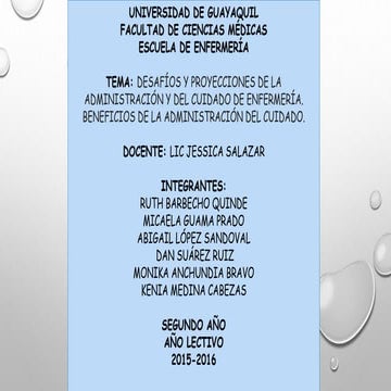 gestion de cuidados de enfermeria