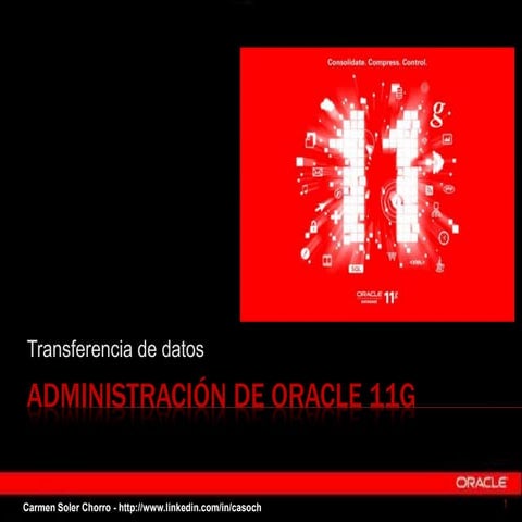 Transferencia de datos en Oracle