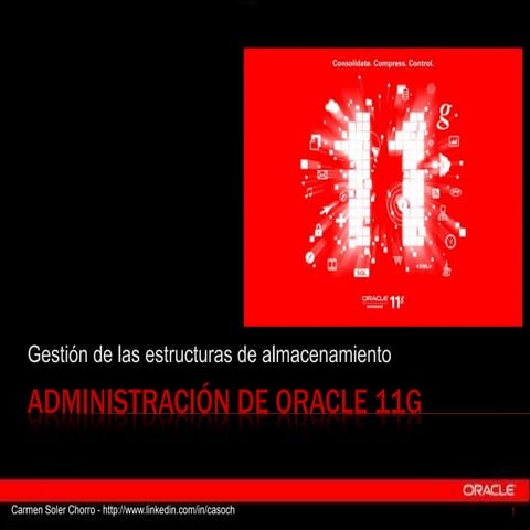 Estructuras de almacenamiento de Oracle 11g R2