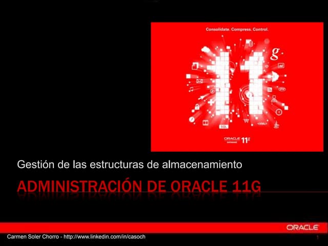 Estructuras de almacenamiento de Oracle 11g R2