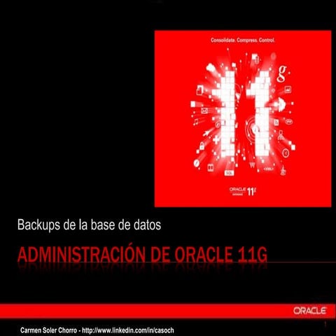 Backups en Oracle