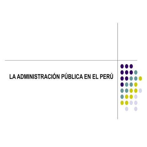 Administración pública en el Perú.pdf
