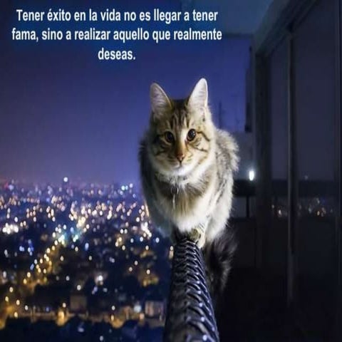 Organización del Departamento  en el cuidado de Enfermeria