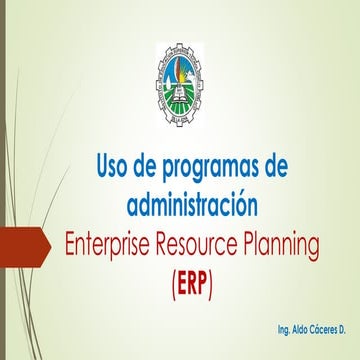 ADMINISTRACION DE ERPs EN UNA ORGANIZACION | PDF