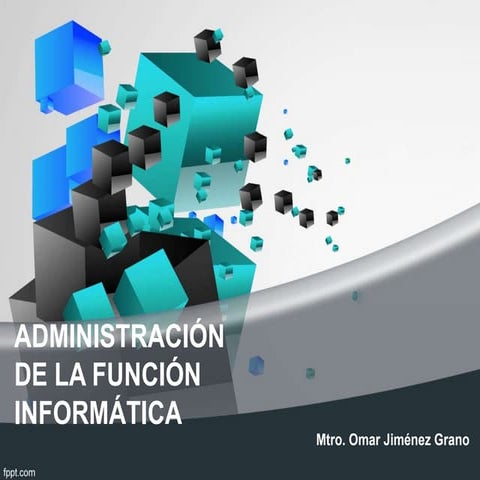 Administracion de la funcion informatica