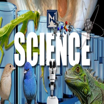 Admin Module 1 - Secondary Science 2019-20