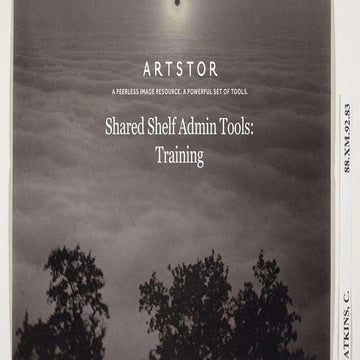 Adonis basic guidelines | PDF