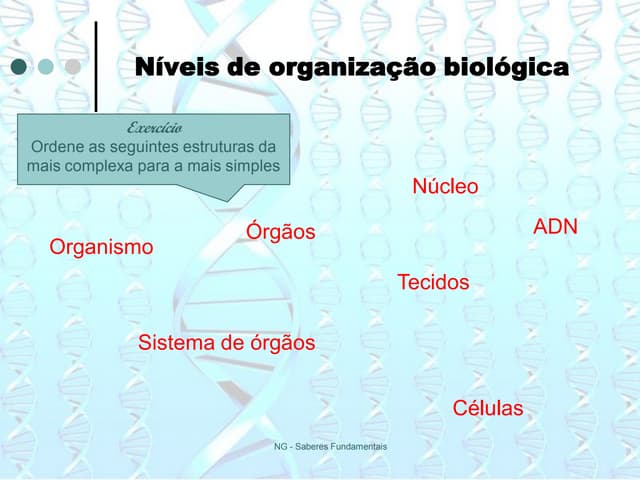 Adn e hereditariedade