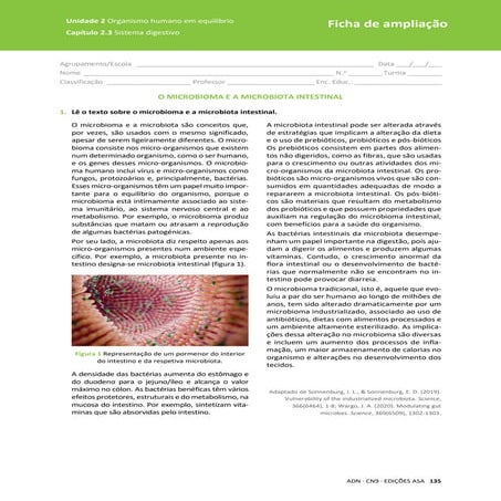 Fichas de ampliação Ciências naturais 9º ano