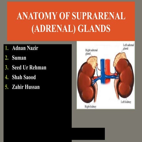 ADNAN_NAZIR[1]1234.pptxbnhhgjjjkiihouiuih