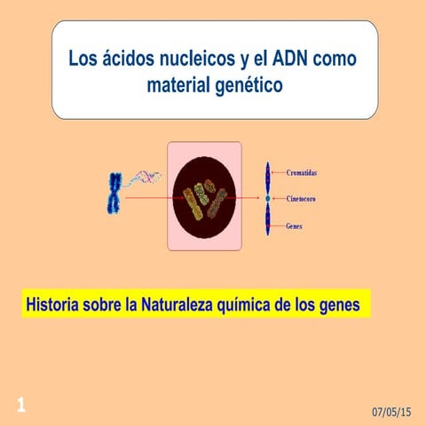 Adn como material genetico 