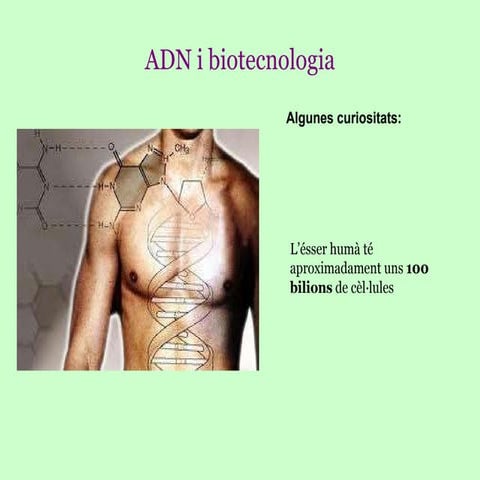 Adn i biotecnologia